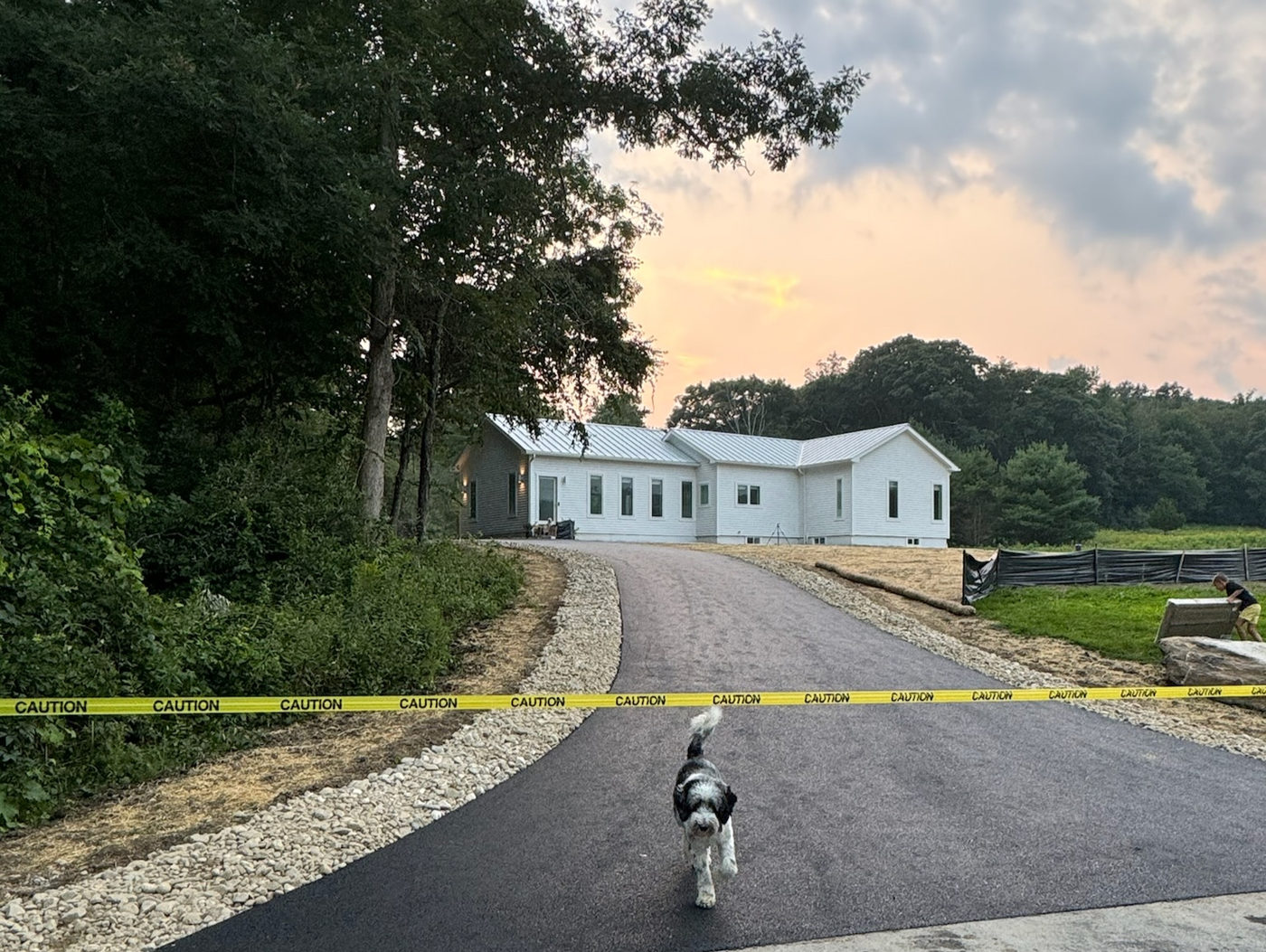 White house with a metal roof and black windows on a cleared site