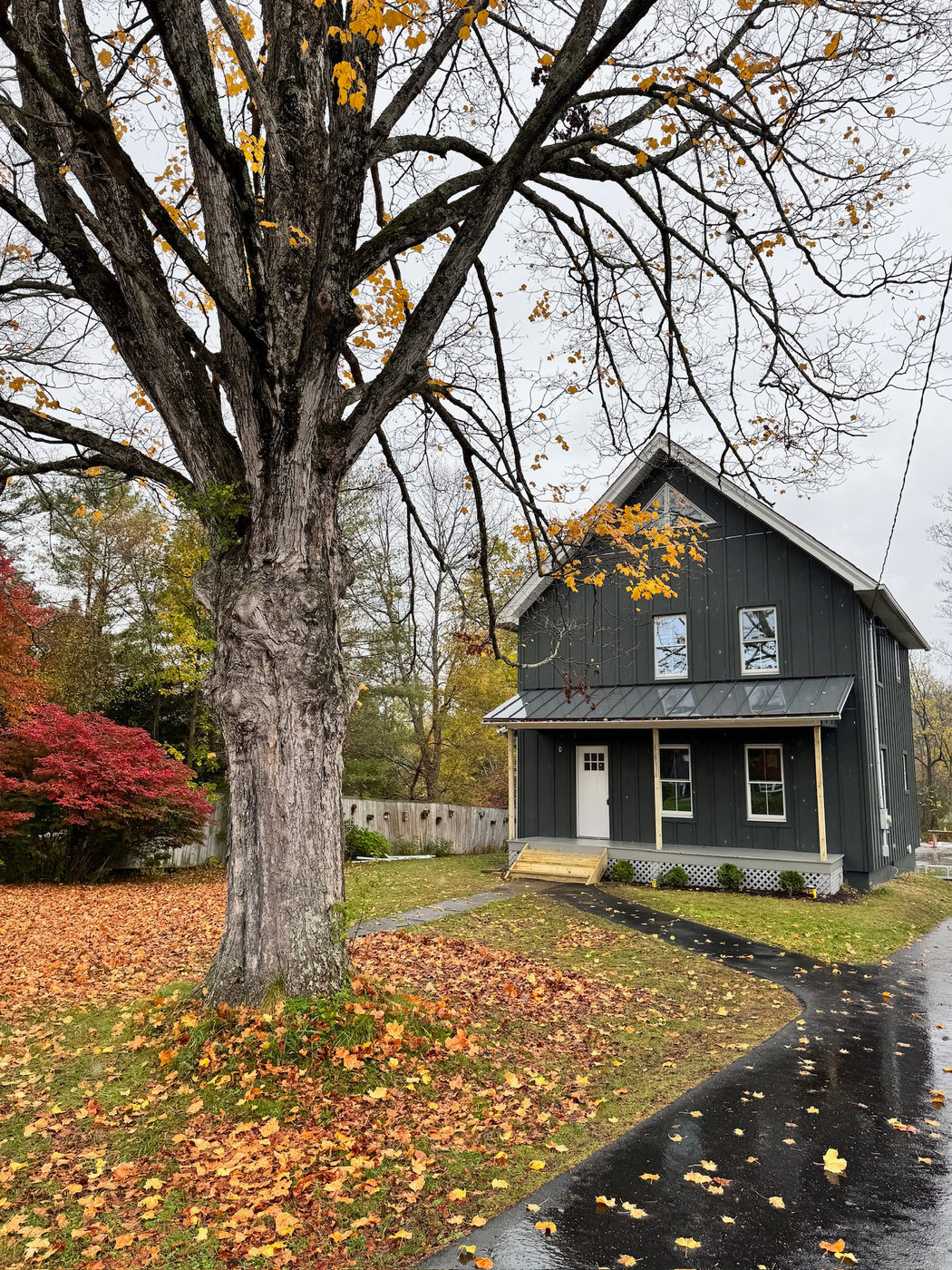 Dark navy house with white trim beneath a large tree in autumn